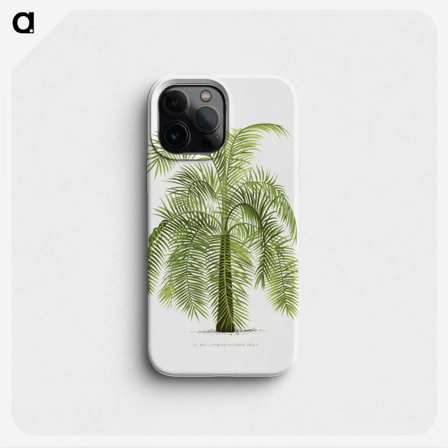 1-43_Les-Palmiers-Histoire-Iconographique_phone