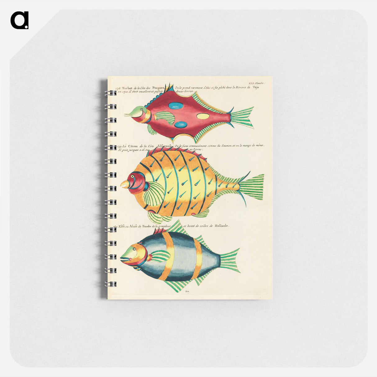 Moluccan Fishes
 - ルイ ルナール Memo.