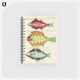 Moluccan Fishes
 - ルイ ルナール Memo.