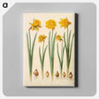 アートパネル-Narcissus pseudonarcissus
 - マリア ジビーラ メーリアン Canvas.