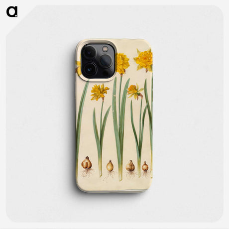 1-43_Maria-Sibylla-Merian_phone