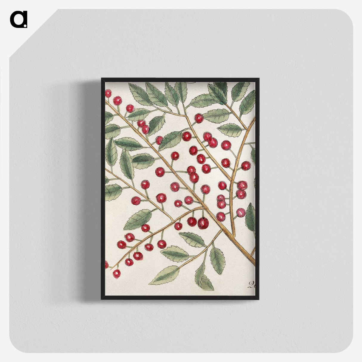 1-43_Mark-Catesby_blk-crop