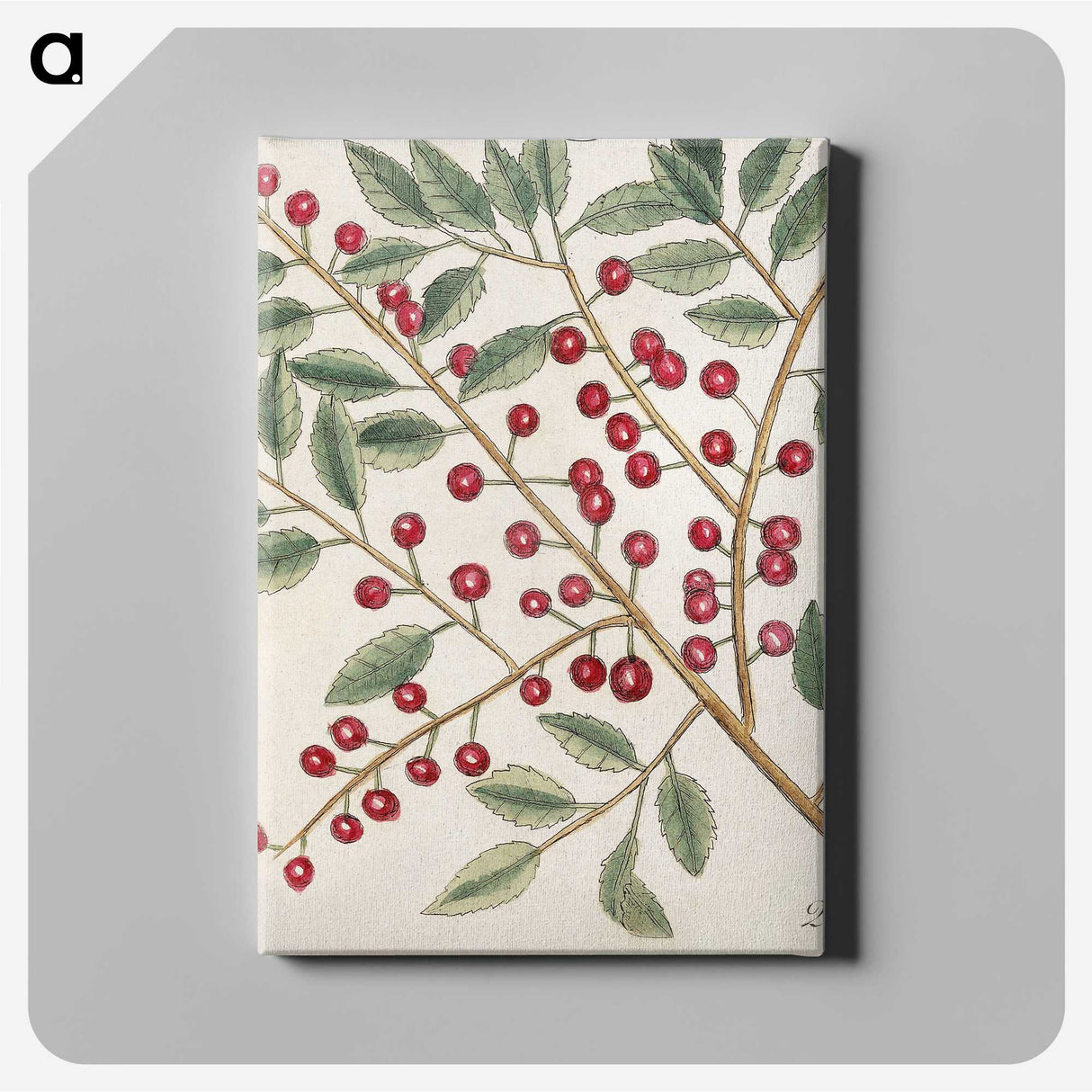 1-43_Mark-Catesby_canvas