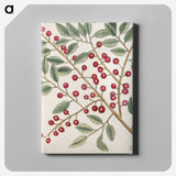 1-43_Mark-Catesby_canvas