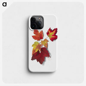 1-43_Mary-Vaux-Walcott_phone