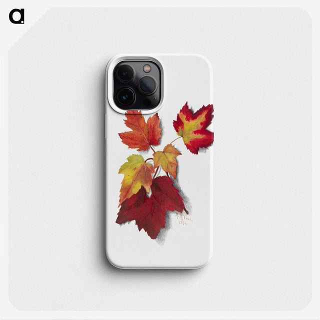 1-43_Mary-Vaux-Walcott_phone
