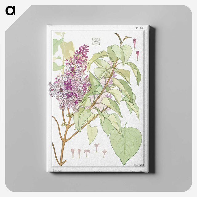1-43_Maurice-Pillard-Verneuil_canvas