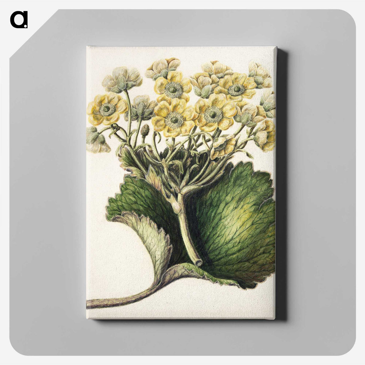1-43_Native-Flowering-Plants-of-New-Zealand_canvas