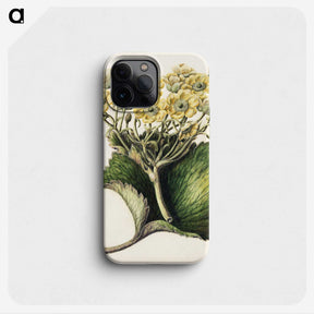 1-43_Native-Flowering-Plants-of-New-Zealand_phone