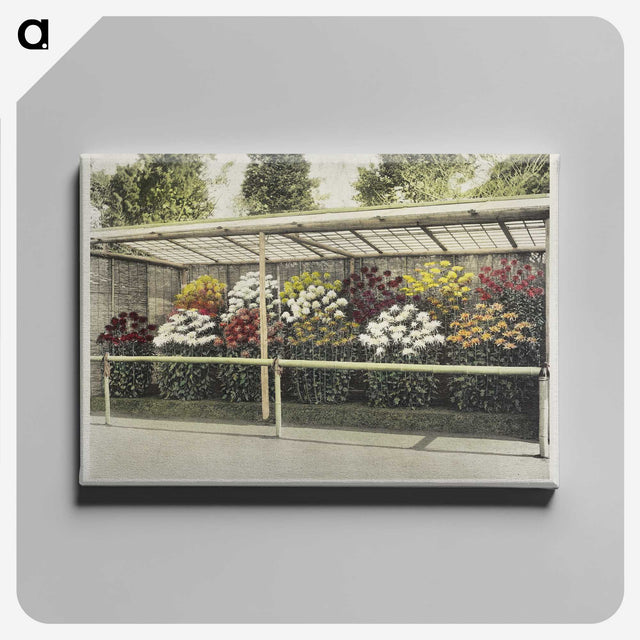 1-43_Ogawa-Kazumasa_canvas