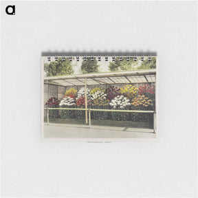アートメモ帳-Chrysanthemum Garden - 小川 一正 Memo.
