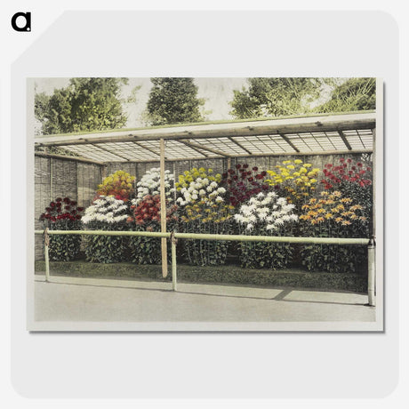 1-43_Ogawa-Kazumasa_picture-crop