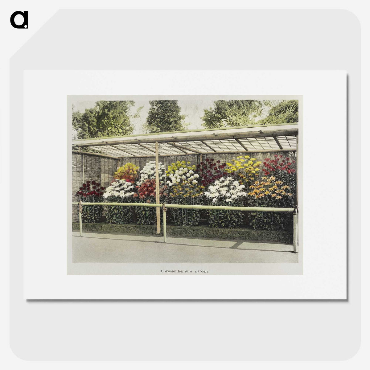 1-43_Ogawa-Kazumasa_picture