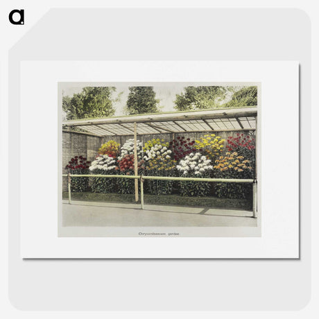 1-43_Ogawa-Kazumasa_picture