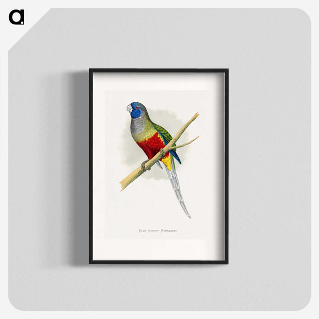 1-43_Parrots-in-Captivity_blk
