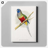1-43_Parrots-in-Captivity_canvas