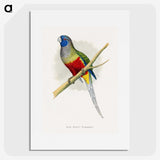 1-43_Parrots-in-Captivity_picture