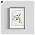 アートポスター-Narcissus Flycatcher and Chrysanthemum
 - 鳥類図鑑 Poster.