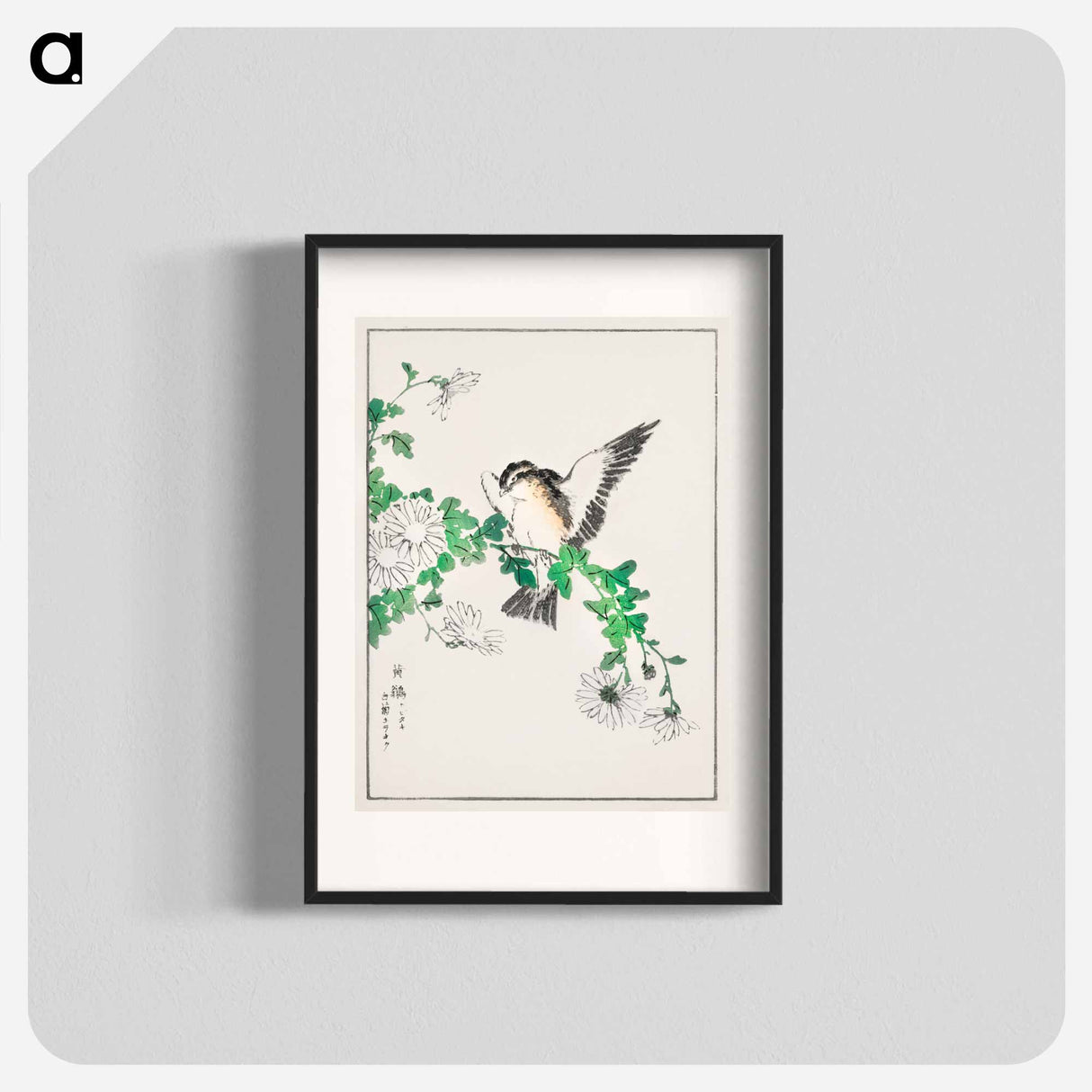アートポスター-Narcissus Flycatcher and Chrysanthemum
 - 鳥類図鑑 Poster.
