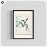 アートポスター-Narcissus Flycatcher and Chrysanthemum
 - 鳥類図鑑 Poster.