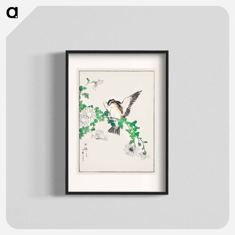 アートポスター-Narcissus Flycatcher and Chrysanthemum
 - 鳥類図鑑 Poster.