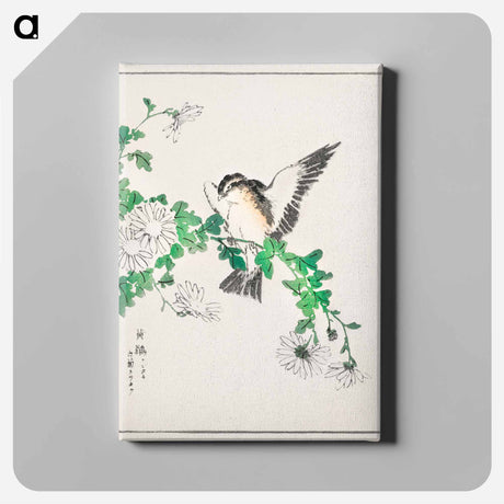 アートパネル-Narcissus Flycatcher and Chrysanthemum
 - 鳥類図鑑 Canvas.