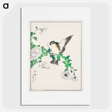 アートポスター-Narcissus Flycatcher and Chrysanthemum
 - 鳥類図鑑 Poster.