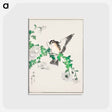 アートポストカード-Narcissus Flycatcher and Chrysanthemum
 - 鳥類図鑑 Postcard.