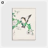 アートポストカード-Narcissus Flycatcher and Chrysanthemum
 - 鳥類図鑑 Postcard.