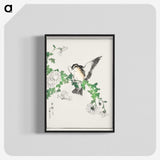 1-43_Pictorial-Monograph-of-Birds_blk-crop