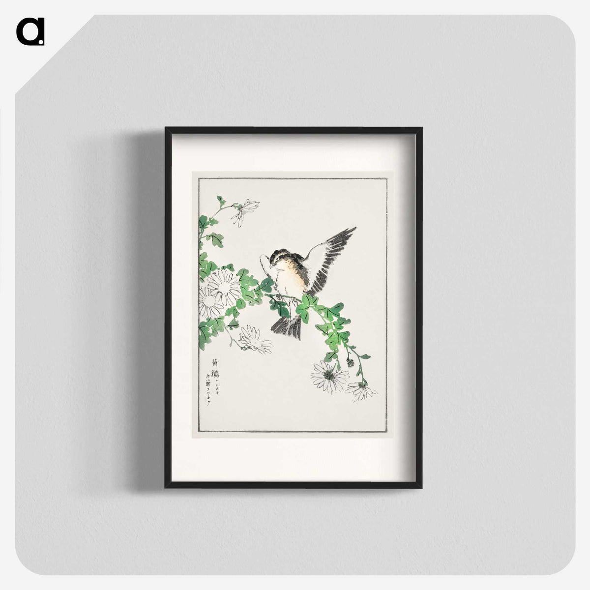 1-43_Pictorial-Monograph-of-Birds_blk
