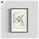 1-43_Pictorial-Monograph-of-Birds_blk