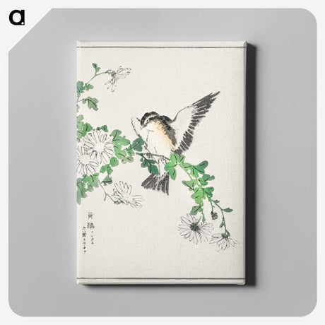 1-43_Pictorial-Monograph-of-Birds_canvas