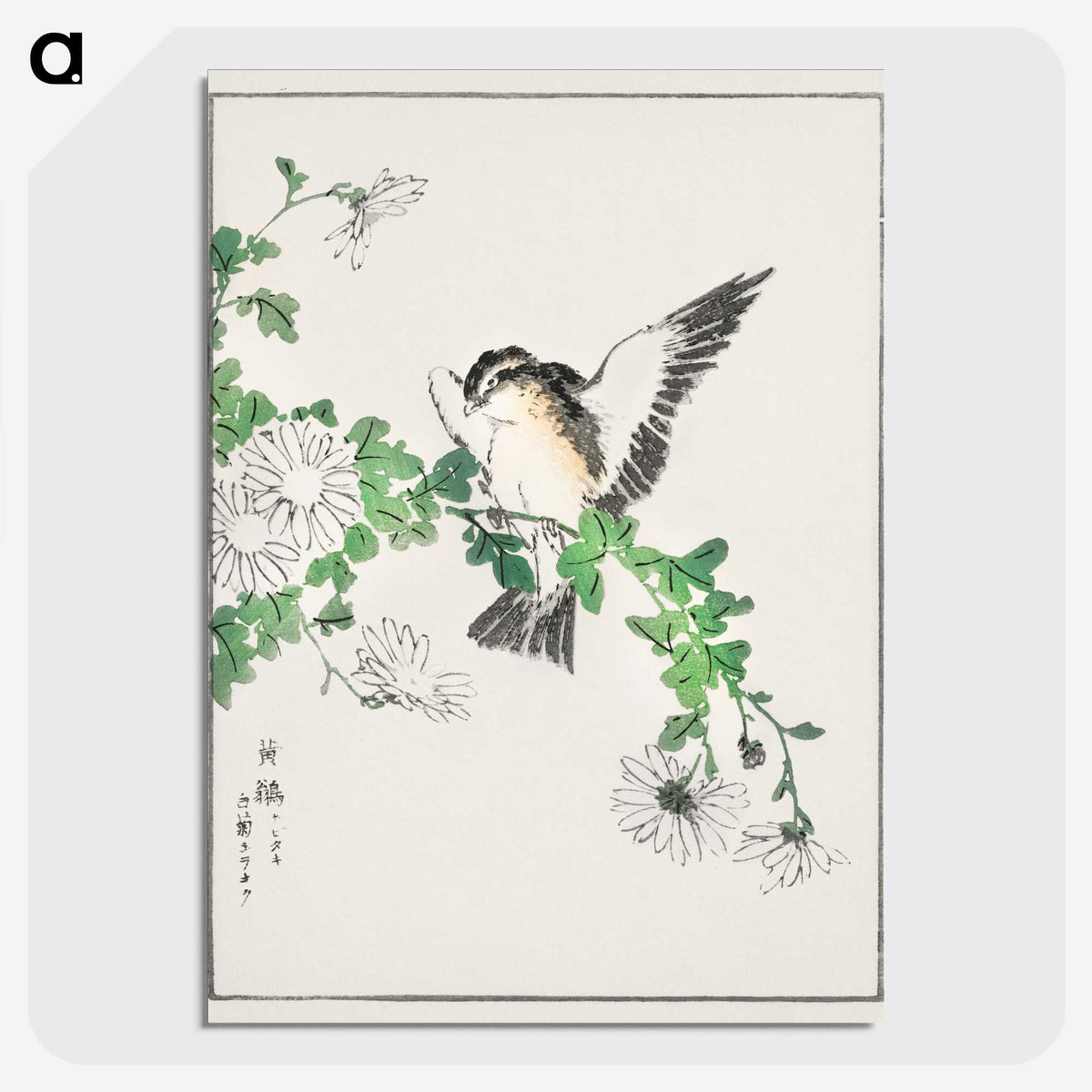 1-43_Pictorial-Monograph-of-Birds_picture-crop