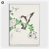 1-43_Pictorial-Monograph-of-Birds_picture-crop