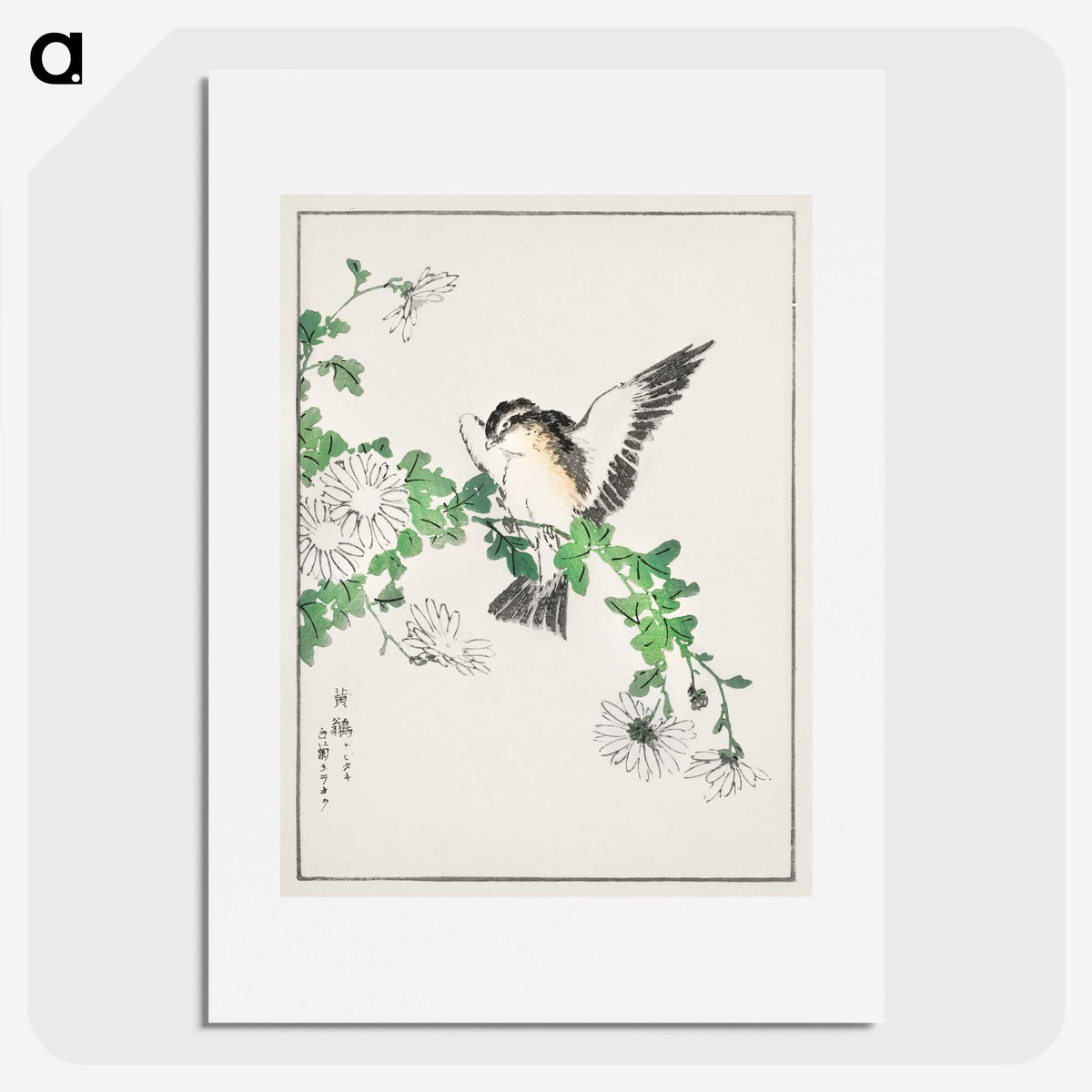1-43_Pictorial-Monograph-of-Birds_picture