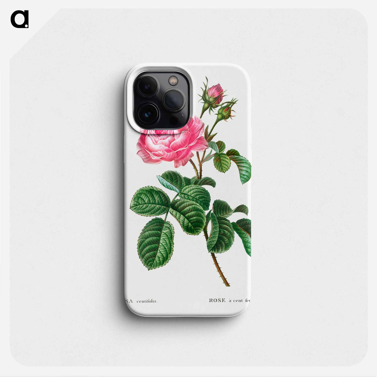 Cabbage rose - Pierre Joseph Redouté Phone Case.