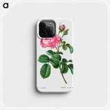 Cabbage rose - Pierre Joseph Redouté Phone Case.