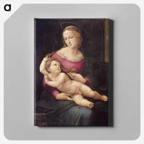 1-43_Raffaello-Santi_canvas