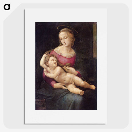 1-43_Raffaello-Santi_picture
