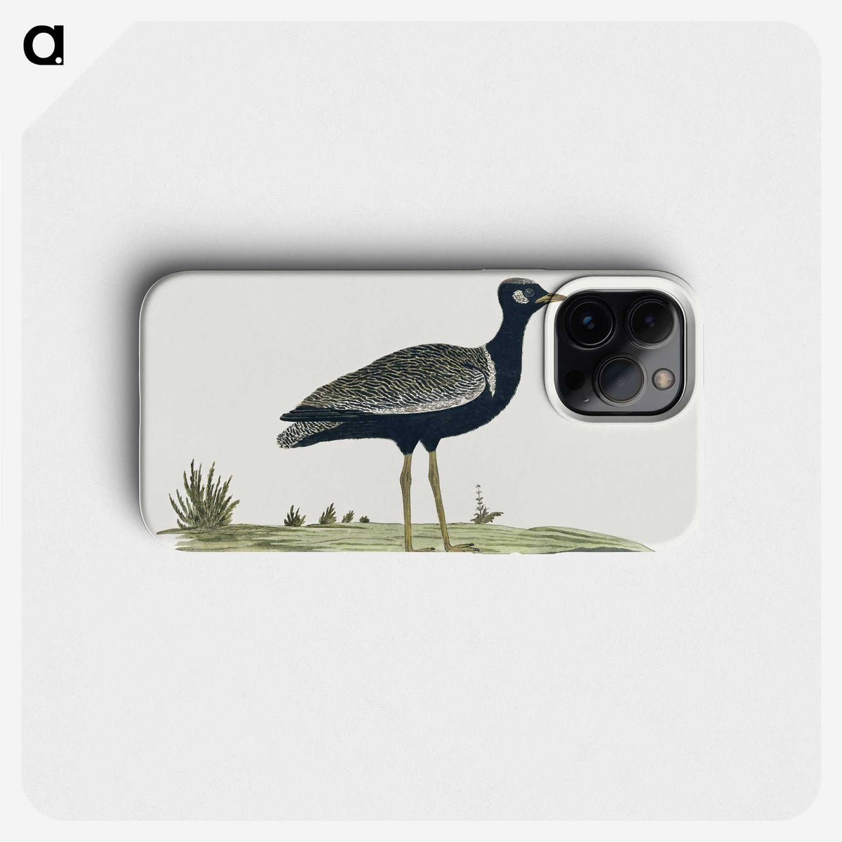 1-43_Robert-Jacob-Gordon_phone