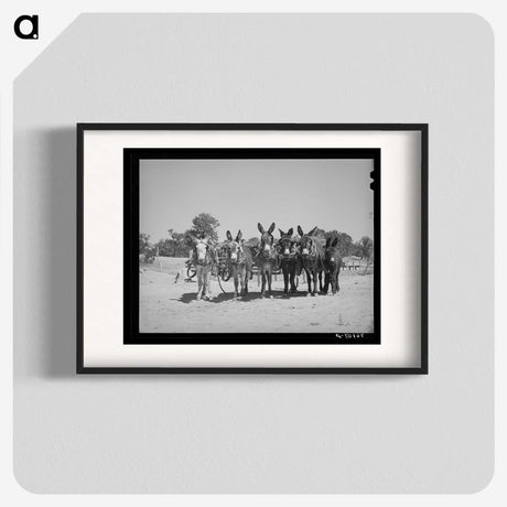 1-43_Russell-Lee_blk