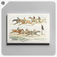 1-43_Sporting-Sketches_canvas