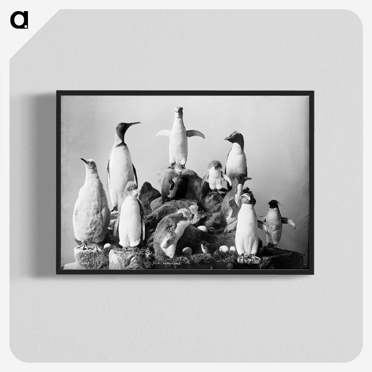 1-43_The-Burton-Brothers_blk-crop