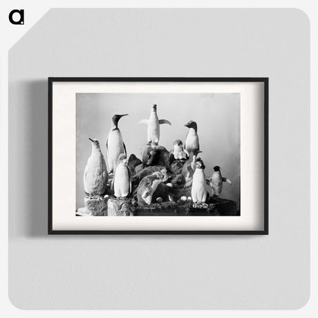 1-43_The-Burton-Brothers_blk