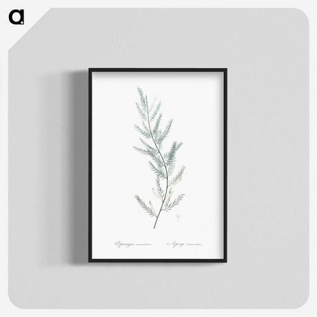 1-43_The-Lilies_blk-crop