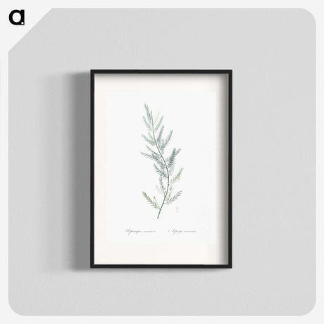 1-43_The-Lilies_blk