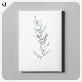 1-43_The-Lilies_canvas