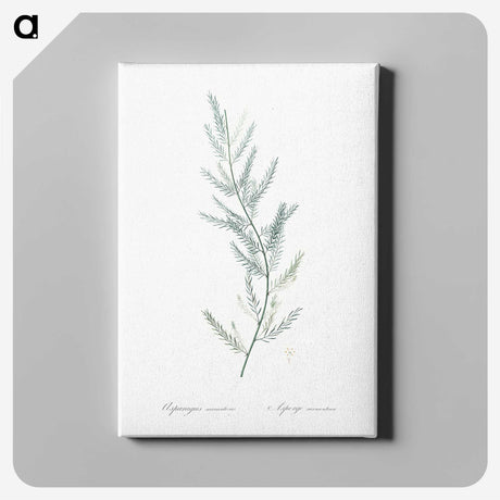 1-43_The-Lilies_canvas