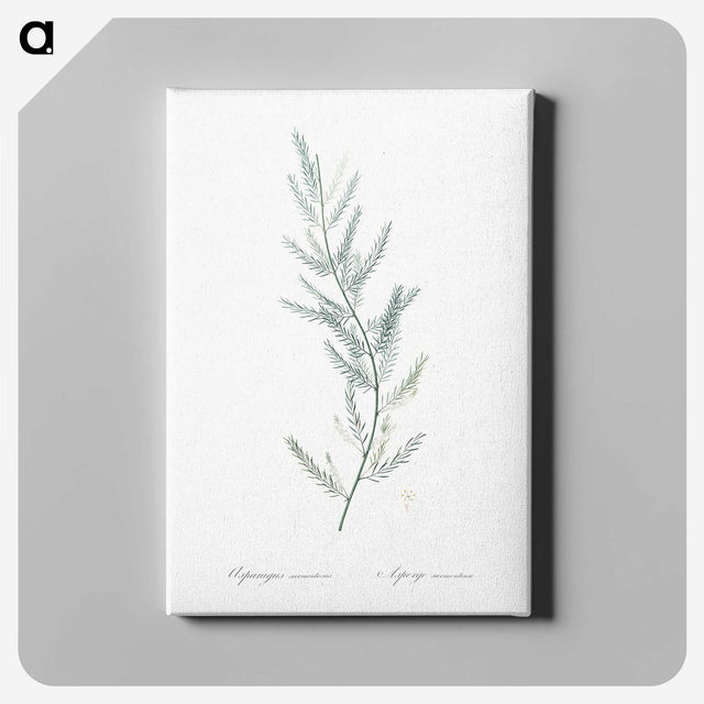 1-43_The-Lilies_canvas